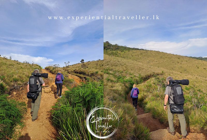 A moment from an Experiential Traveller journey