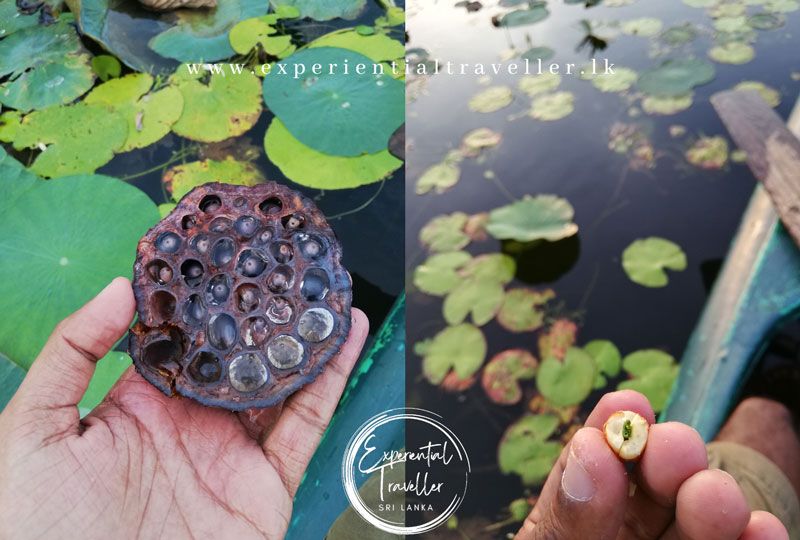 A moment from an Experiential Traveller journey