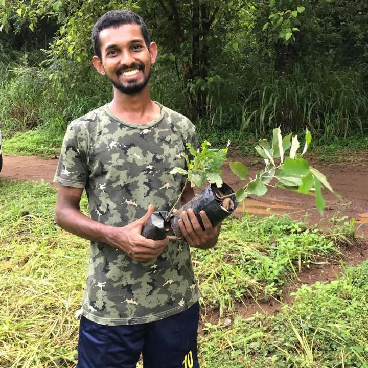 Tree planting to offset a journey’s carbon footprint
