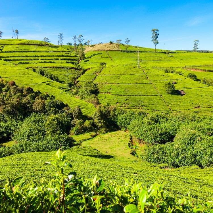 Ella, Sri Lanka