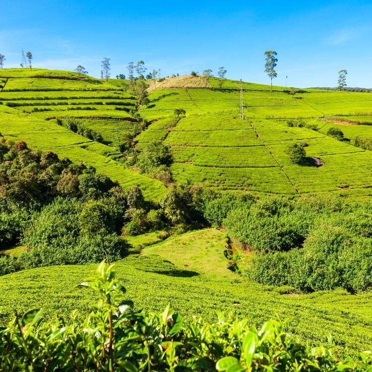 Ella, Sri Lanka
