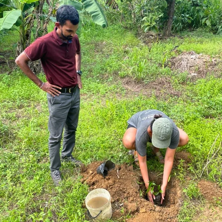 Tree planting to offset a journey’s carbon footprint
